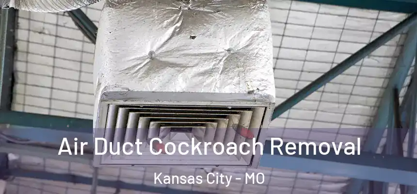 Air Duct Cockroach Removal Kansas City - MO