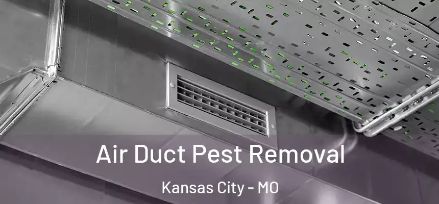 Air Duct Pest Removal Kansas City - MO