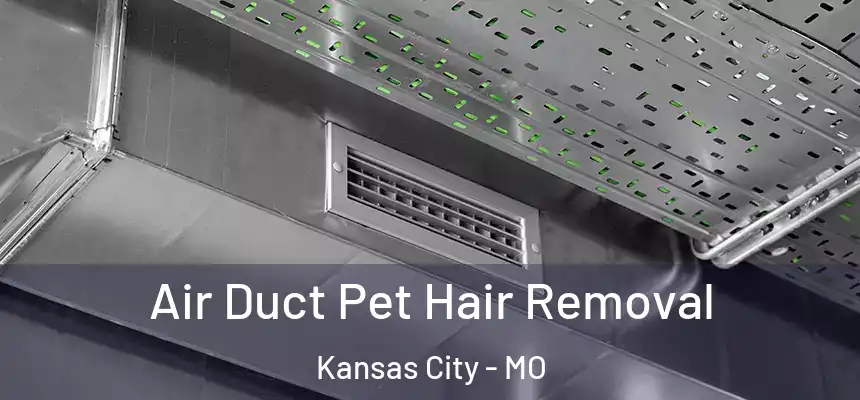Air Duct Pet Hair Removal Kansas City - MO