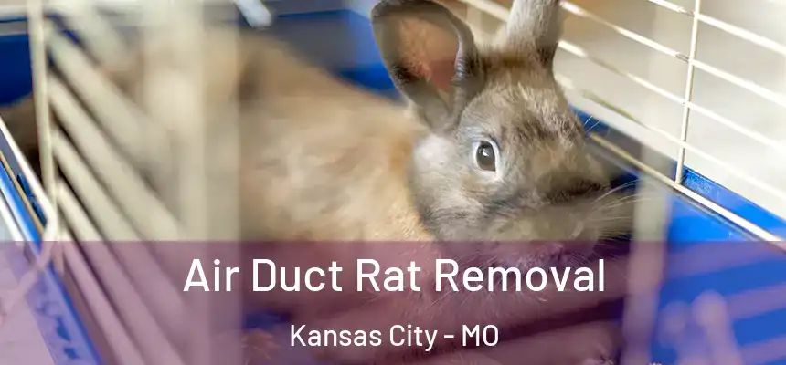 Air Duct Rat Removal Kansas City - MO