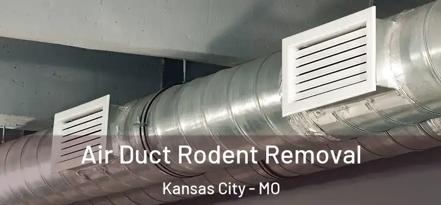 Air Duct Rodent Removal Kansas City - MO