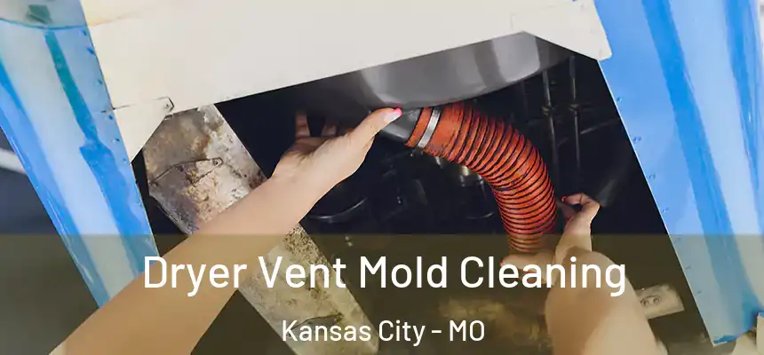 Dryer Vent Mold Cleaning Kansas City - MO