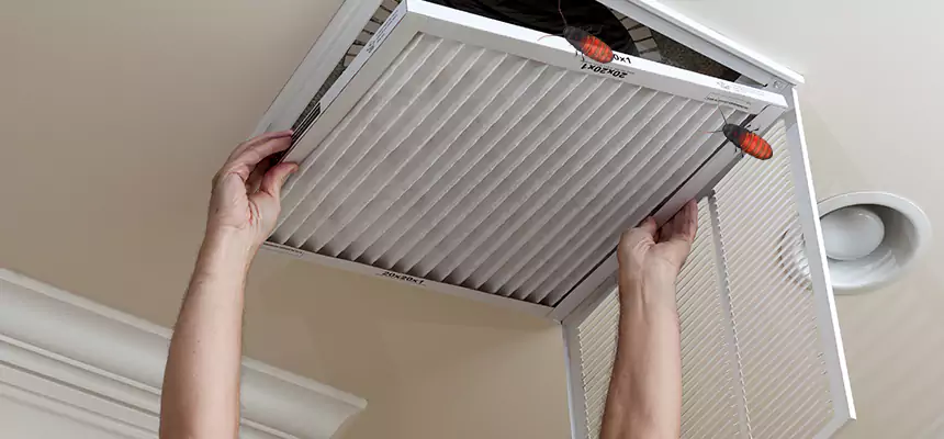 Our Insect Removal from Air Ducts Services in Kansas City, MO