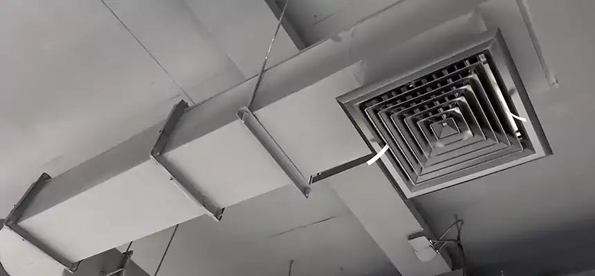 Our Pest Removal From Ducts Services in Kansas City, MO