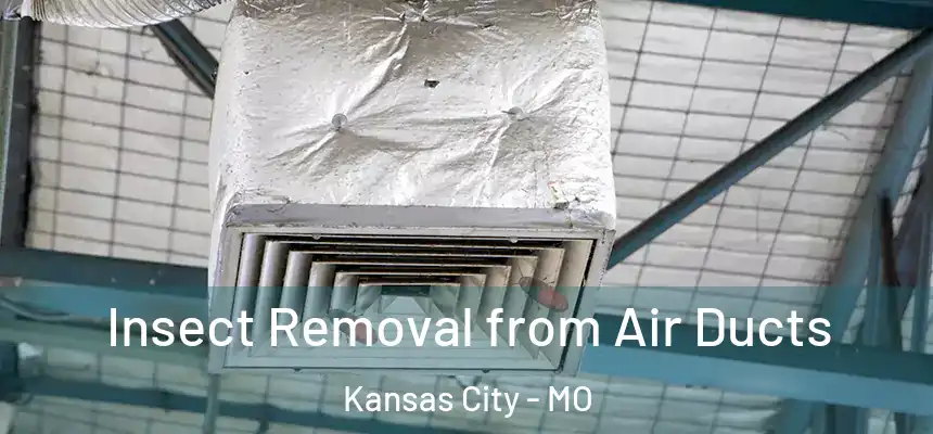 Insect Removal from Air Ducts Kansas City - MO