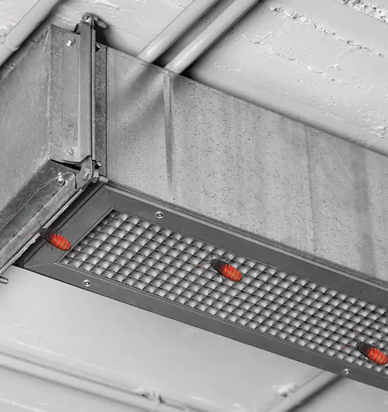 About Air Duct Cockroach Removal in Kansas City, MO