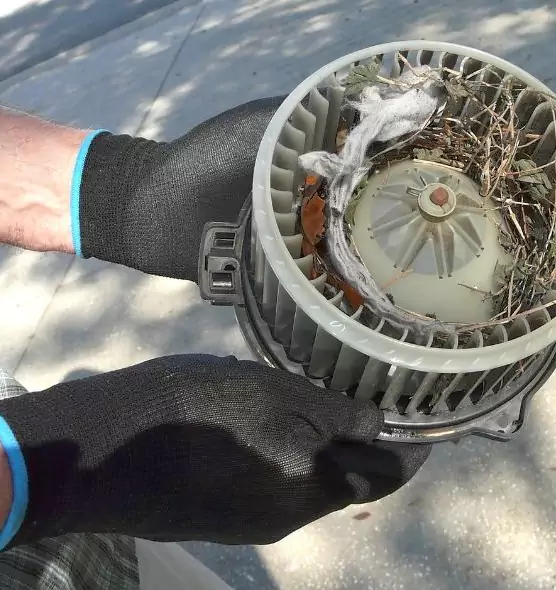 About Air Duct Mice Removal in Kansas City, MO