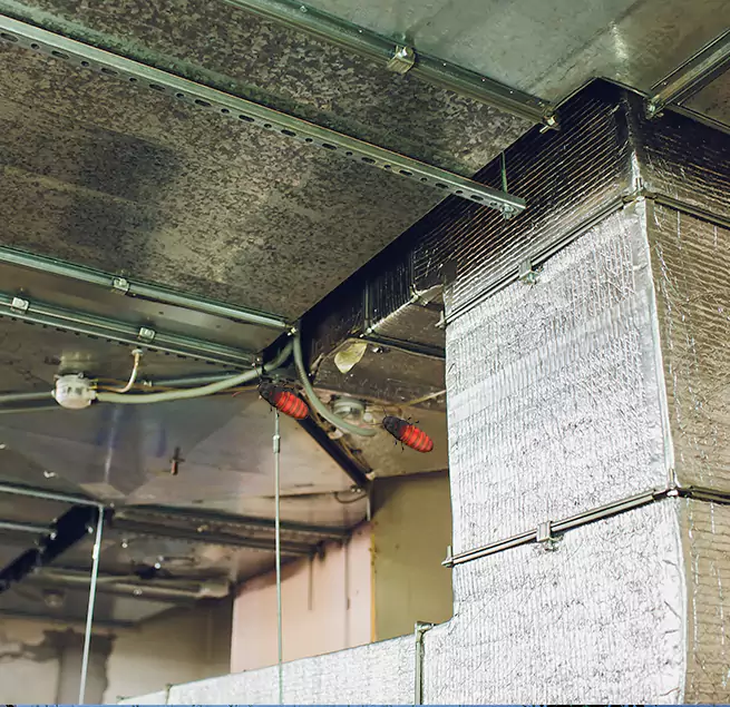 Why Homeowners & Businesses Trust Us in Kansas City, MO?