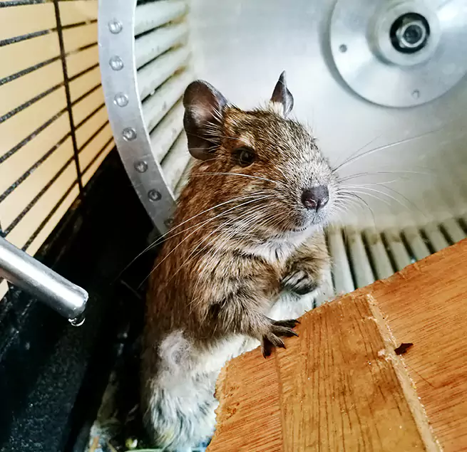 Why Homeowners & Businesses Trust Us Kansas City, MO