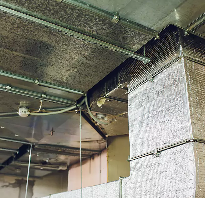 Why Homeowners & Businesses Trust Us in Kansas City, MO?